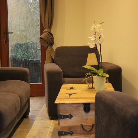 Maison Neuve En Bois Pres De Pairy Daisa Brugelette Dış mekan fotoğraf